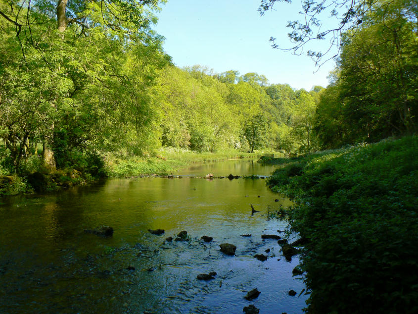 River Bradford River Bradford